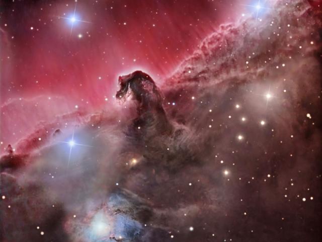 The Magnificent Horsehead Nebula