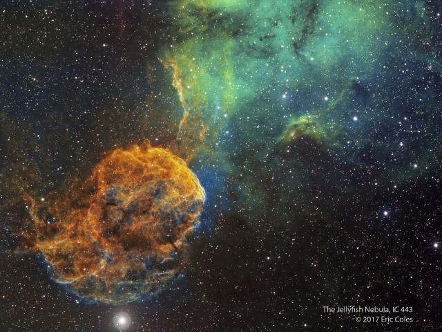 Sharpless 249 and the Jellyfish Nebula