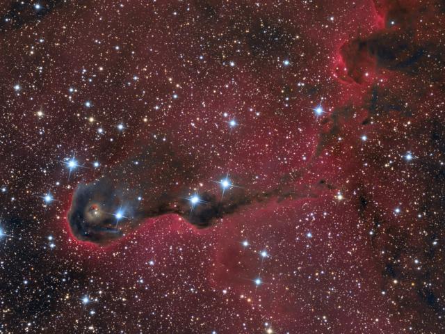 The Elephant’s Trunk Nebula in Cepheus
