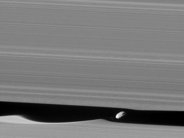 Daphnis the Wavemaker