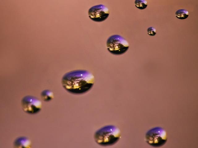 Venus Through Water Drops