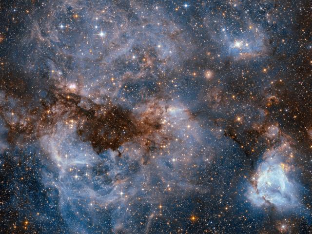 N159 in the Large Magellanic Cloud