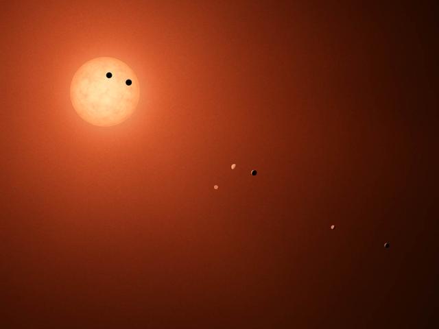 Seven Worlds for TRAPPIST 1