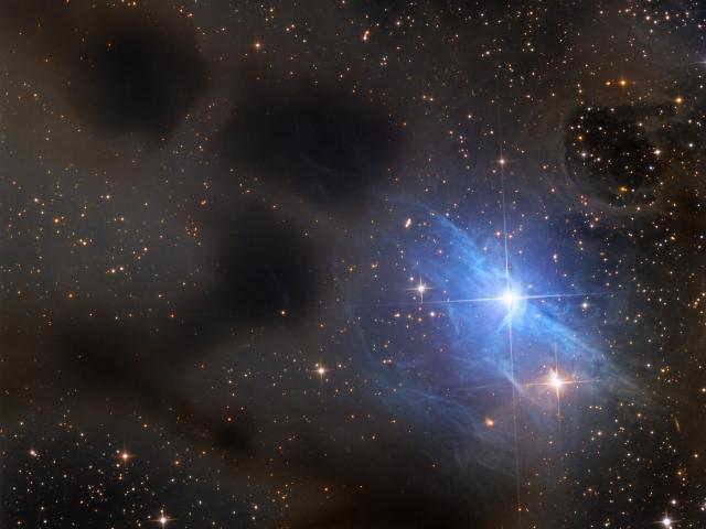 Reflections on vdB 31