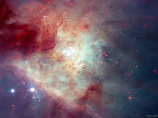 Fast Stars and Rogue Planets in the Orion Nebula