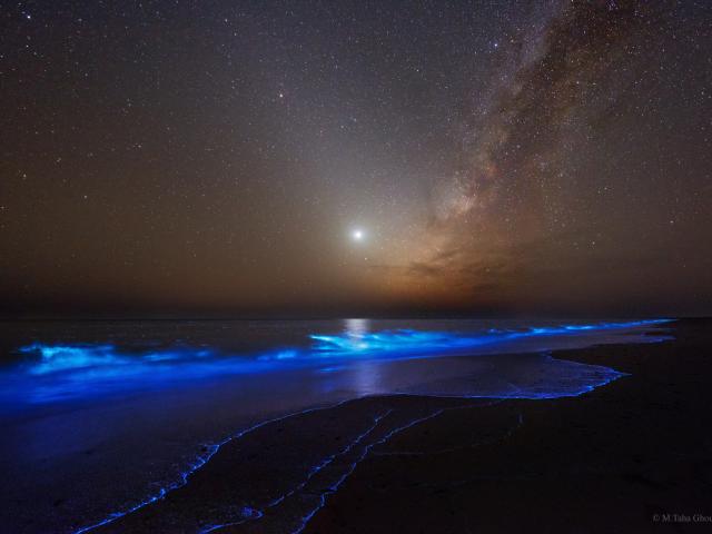 Night Glows