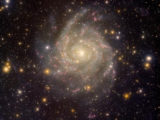 Hidden Galaxy IC 342