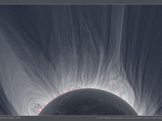Detailed View of a Solar Eclipse Corona