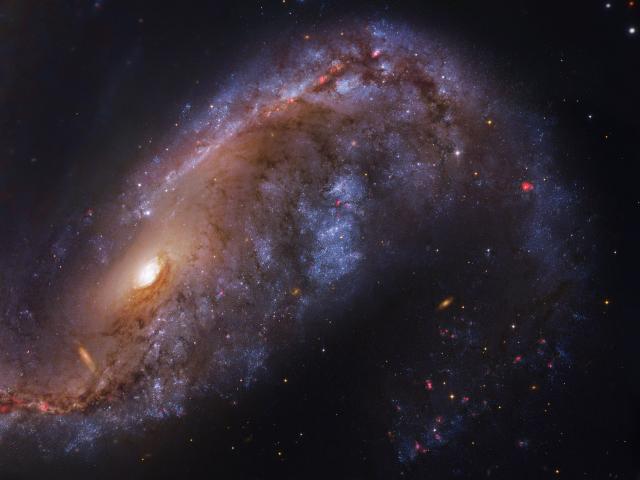 NGC 2442: Galaxy in Volans