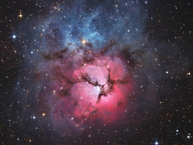 A Beautiful Trifid