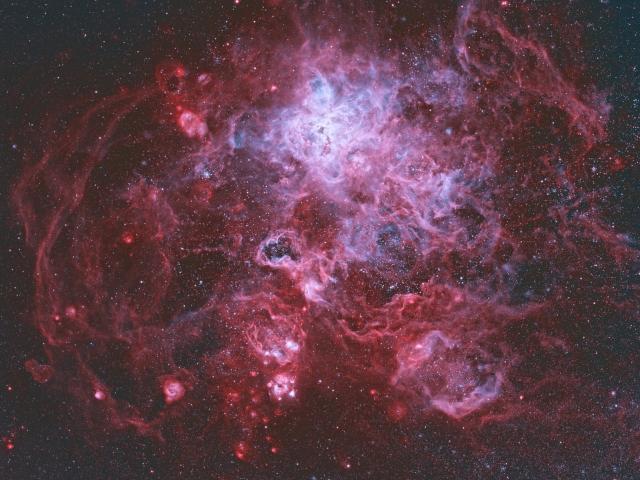 The Tarantula Nebula