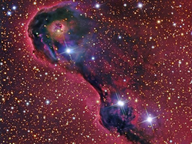 An Elephant’s Trunk in Cepheus
