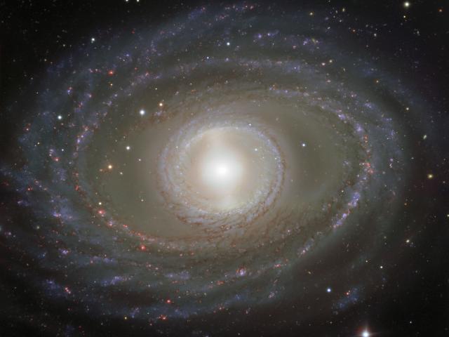 Ribbons and Pearls of Spiral Galaxy NGC 1398