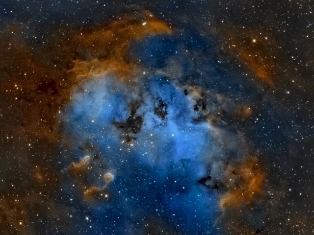 The Tadpoles of IC 410