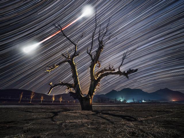 Bow Tie Moon and Star Trails