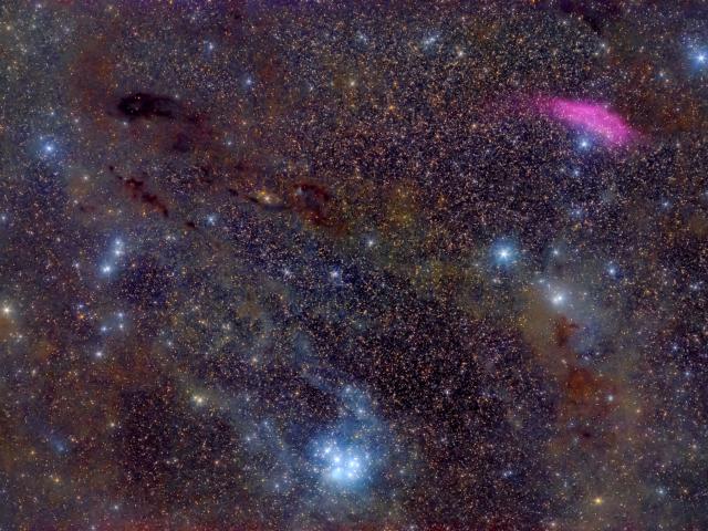 Comet PanSTARRS is near the Edge