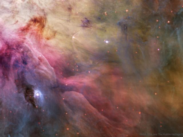 LL Ori and the Orion Nebula