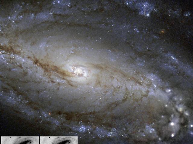 NGC 613 in Dust, Stars, and a Supernova