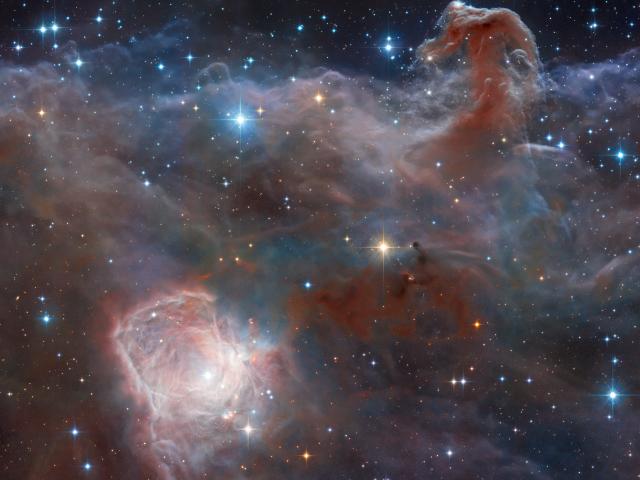Horsehead: A Wider View