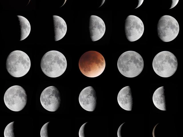 Phases of the Moon