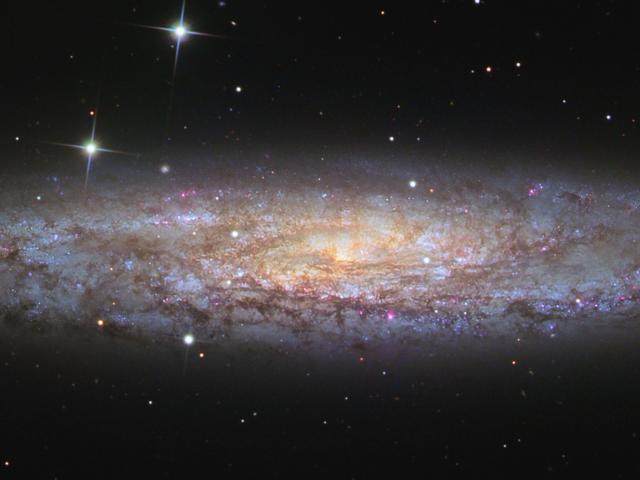 NGC 253: Dusty Island Universe