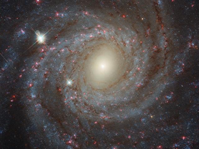 Facing NGC 3344