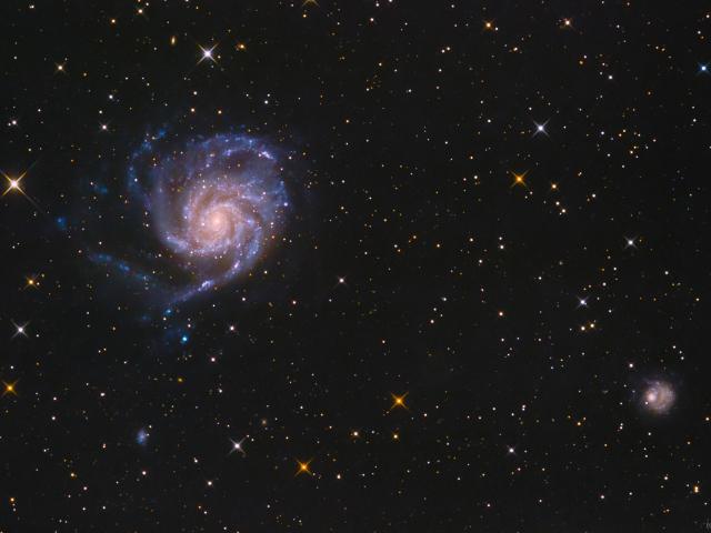 The View Toward M101