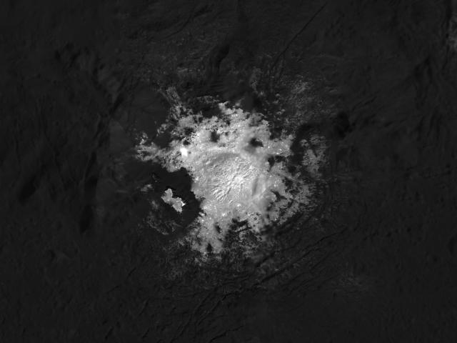 Cerealia Facula