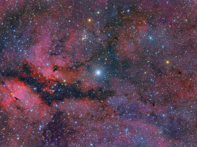 Central Cygnus Skyscape