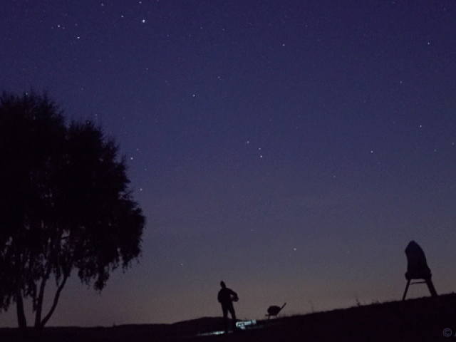 Real Time Perseid