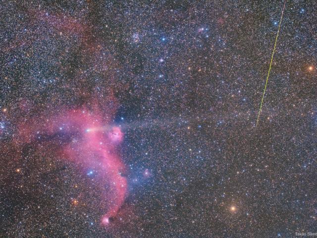 Meteor, Comet, and Seagull (Nebula)