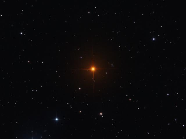 R Leporis: A Vampire’s Star