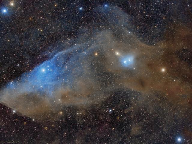 IC 4592: The Blue Horsehead Reflection Nebula