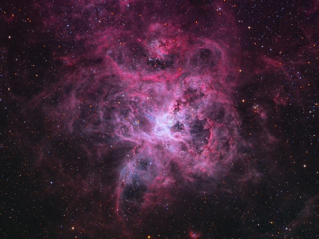The Tarantula Nebula