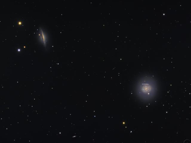 Cetus Galaxies and Supernova