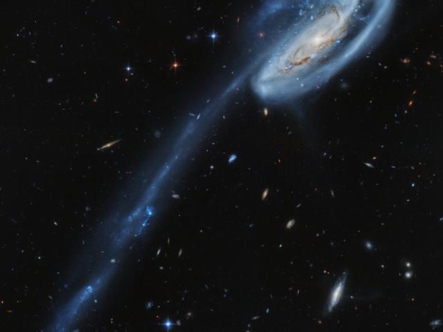 Arp 188 and the Tadpole’s Tail