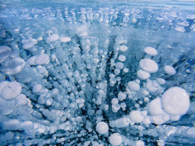 Methane Bubbles Frozen in Lake Baikal