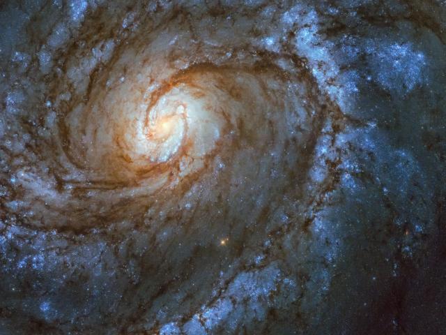 M100: A Grand Design Spiral Galaxy