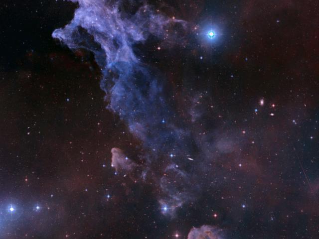 The Witch Head Nebula