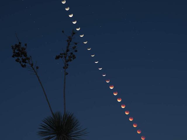 Total Lunar Eclipse at Moonset