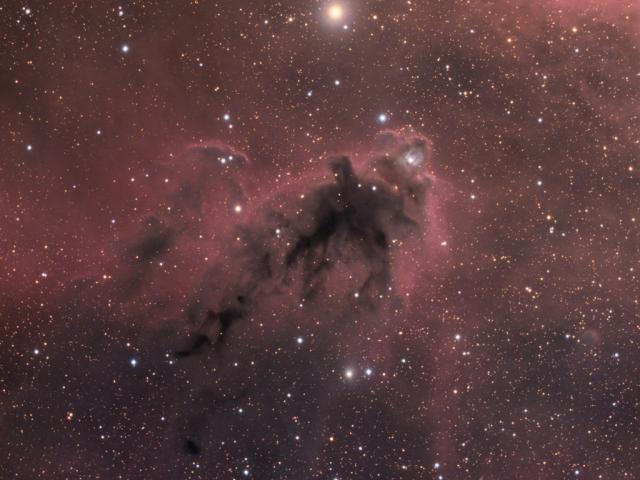 LDN 1622: Dark Nebula in Orion