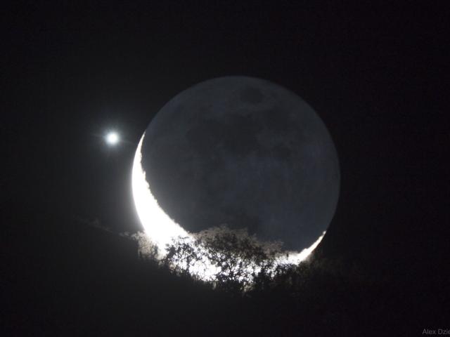 Moon and Venus Appulse over a Tree