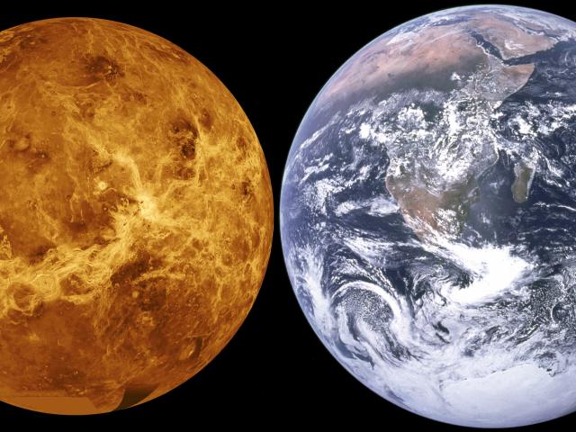 Venus Unveiled
