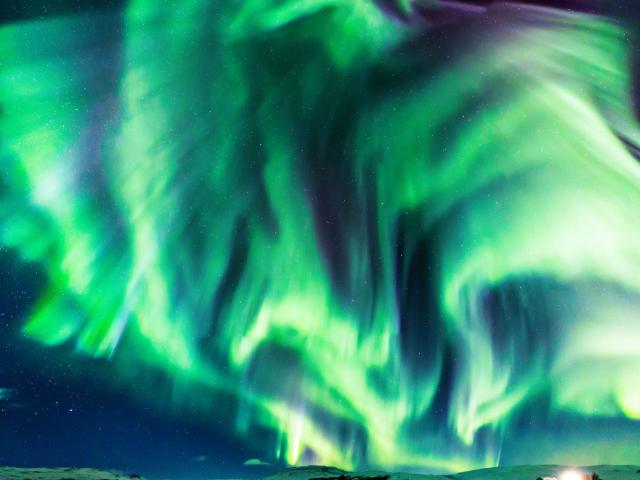 Dragon Aurora over Iceland