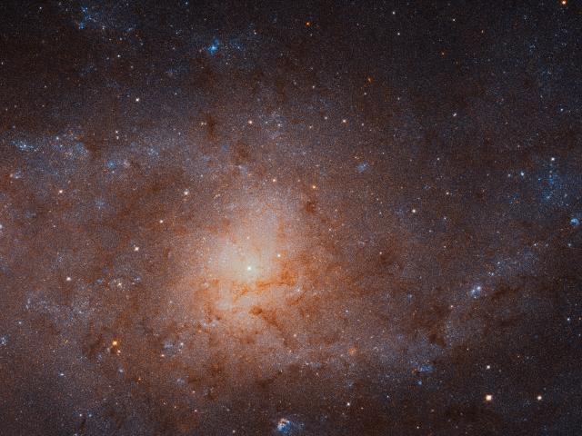The Stars of the Triangulum Galaxy