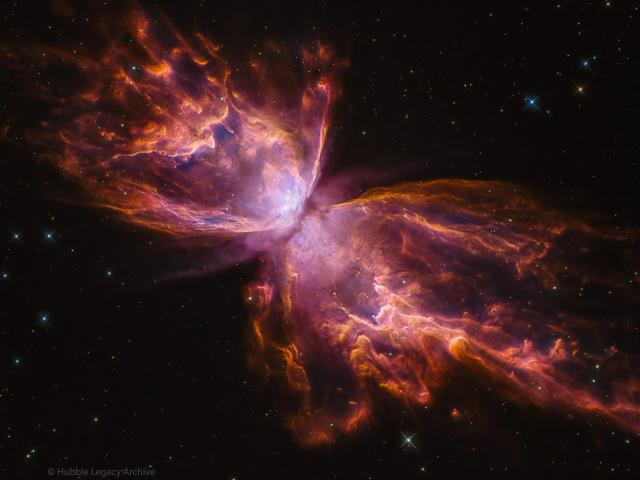 NGC 6302: The Butterfly Nebula