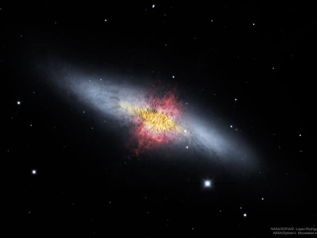 The Central Magnetic Field of the Cigar Galaxy