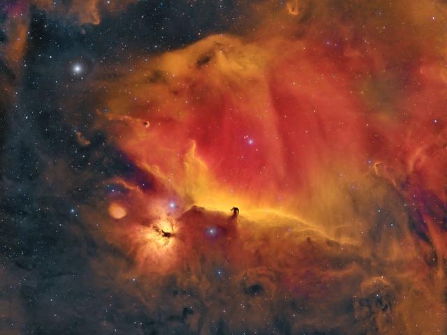 Wisps Surrounding the Horsehead Nebula