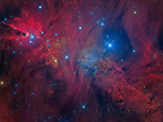 In the Vicinity of the Cone Nebula