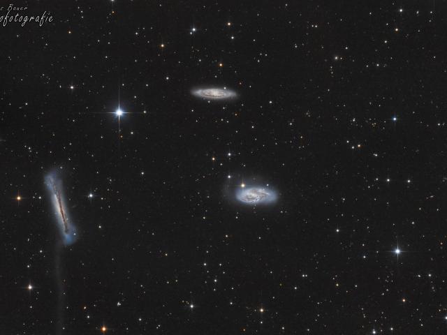 The Leo Trio